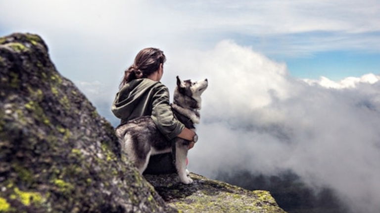 ¿Por qué nos quieren los perros?