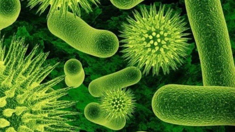 Por qué no deberías usar jabón antibacteriano