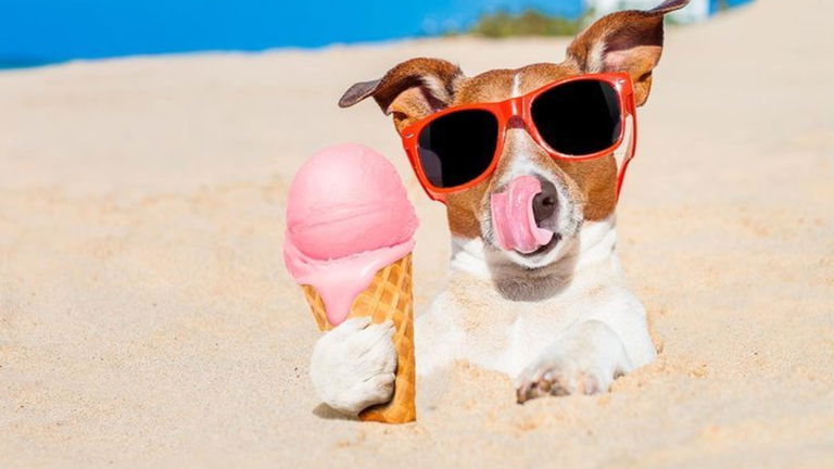 Resolviendo misterios: por qué se te "congela el cerebro" al comer helados