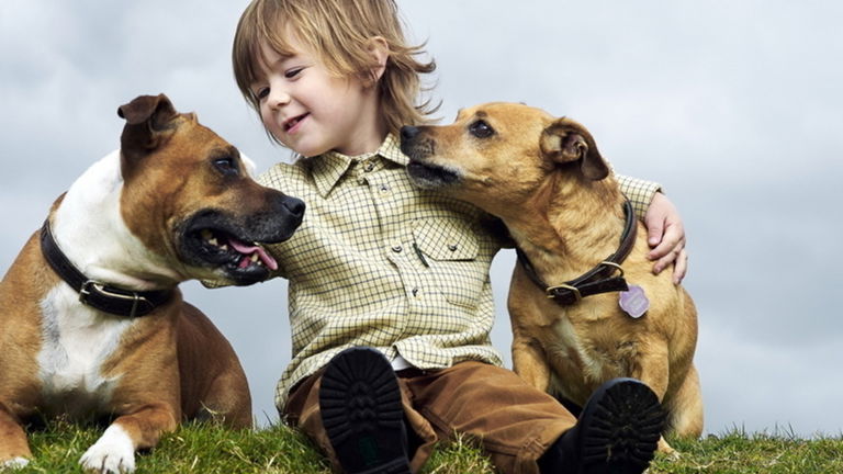 Revivir a tu mejor amigo es así de fácil: llega la clonación de perros