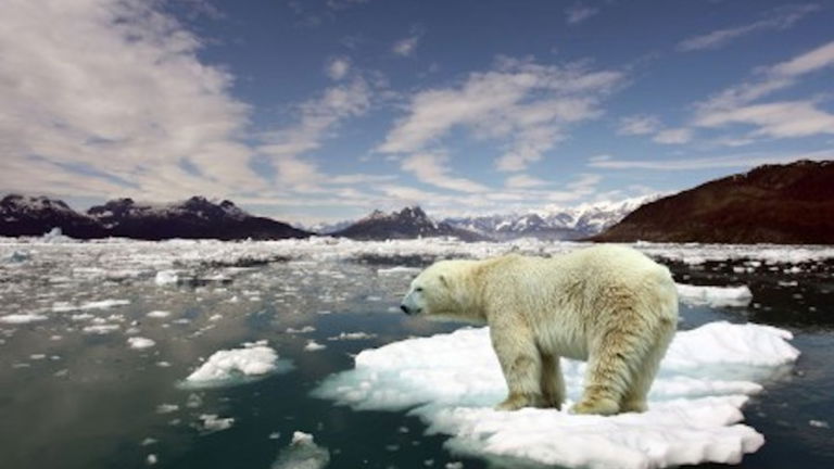 Estos son los países con más posibilidades de sobrevivir al cambio climático