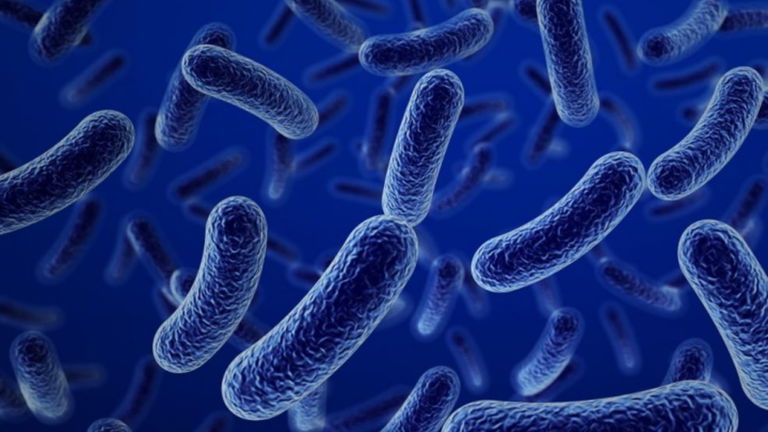 El apocalipsis bacteriano podría estar más cerca