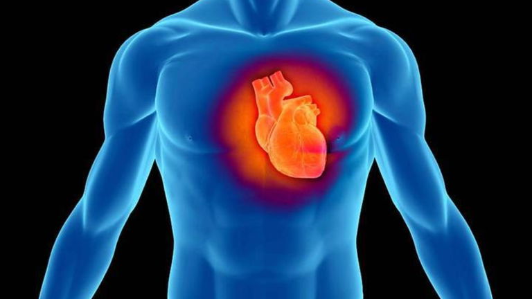 Nueva revolución científica: así se regenera un corazón por completo tras un infarto