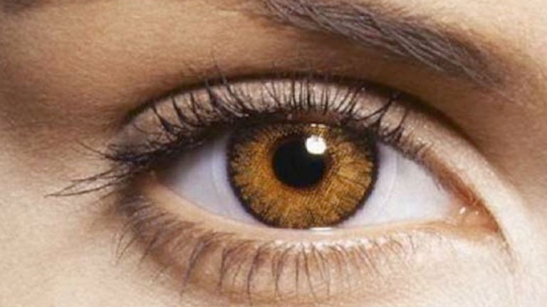 La verdadera causa de la dislexia está en tus ojos