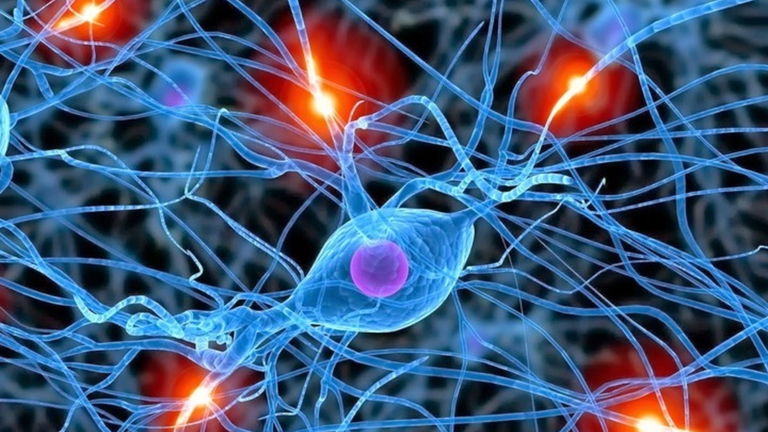 Por qué no usamos sólo el 10% de nuestro cerebro