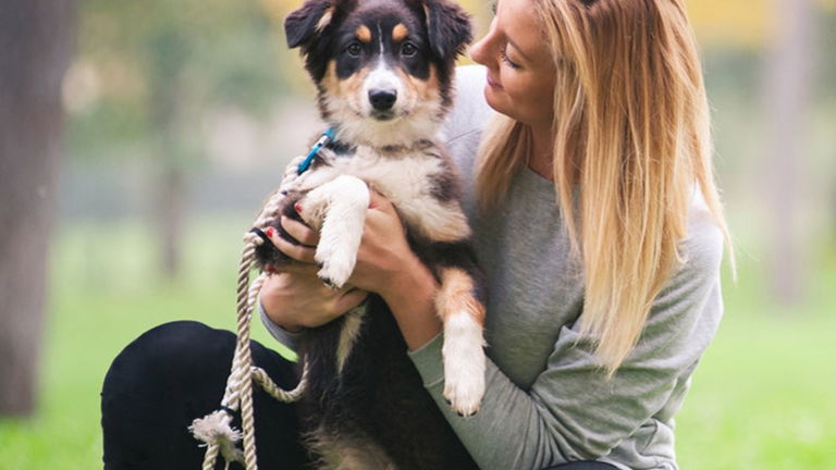 ¿Quieres disfrutar de una larga vida? Solo debes tener un perro