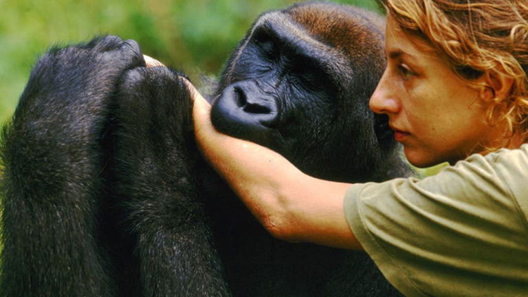 ¿Cuáles son las diferencias entre el cerebro humano y el de los primates?