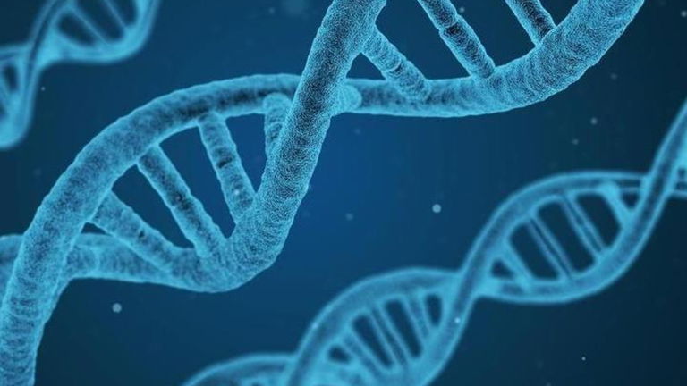 CRISPR, descubre una nueva forma de curar enfermedades