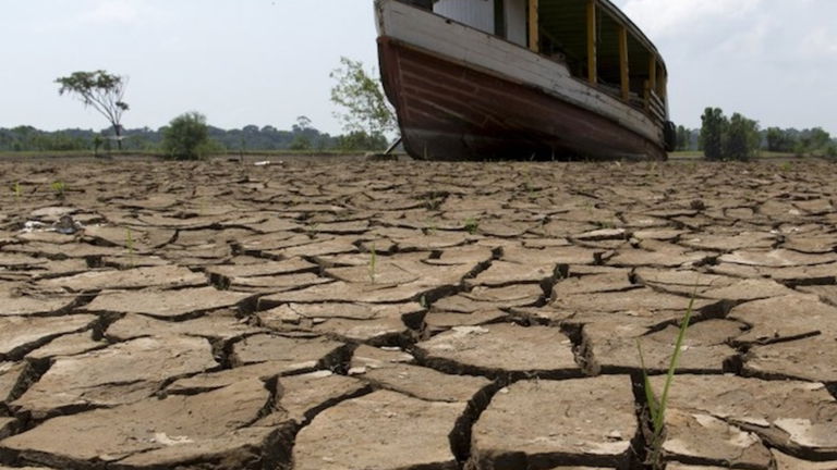 La sequía en España en 15 impactantes imágenes