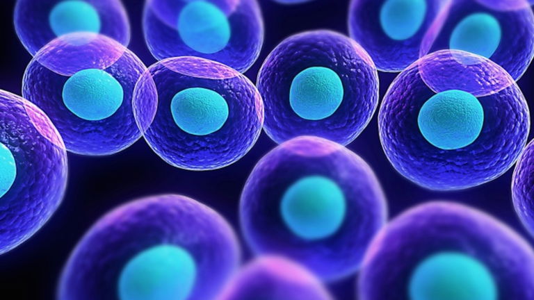 El poder de la genética sobre tu salud: las enfermedades hereditarias