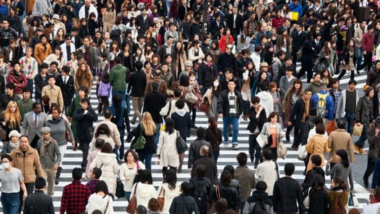 Conoce las barras Asch y las curiosidades de la psicología social