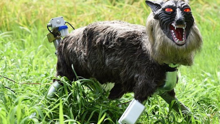 Los granjeros japoneses están usando este aterrador lobo robot y... funciona