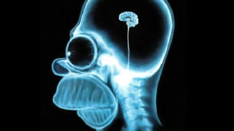 Cómo hackear tu cerebro y usarlo a tu favor en el día a día