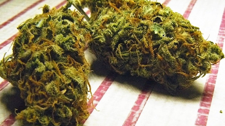 Esta peligrosa marihuana te hace sangrar por los ojos y por los oídos