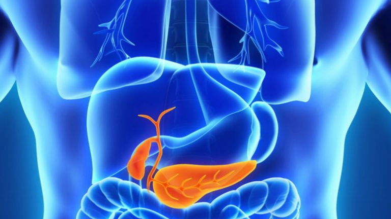 Este es el nuevo foco donde atacar al cáncer