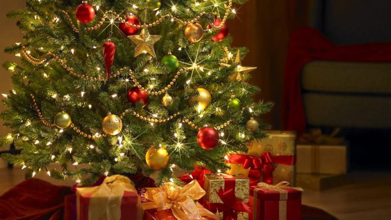 Amazon anuncia el envío de árboles naturales a casa pensando ya en Navidad