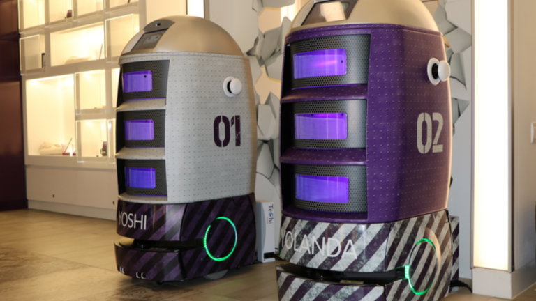Techmetics tiene un flota de adorables robots autónomos