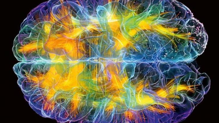 Una red neuronal permite conectar los pensamientos de 3 personas a la vez