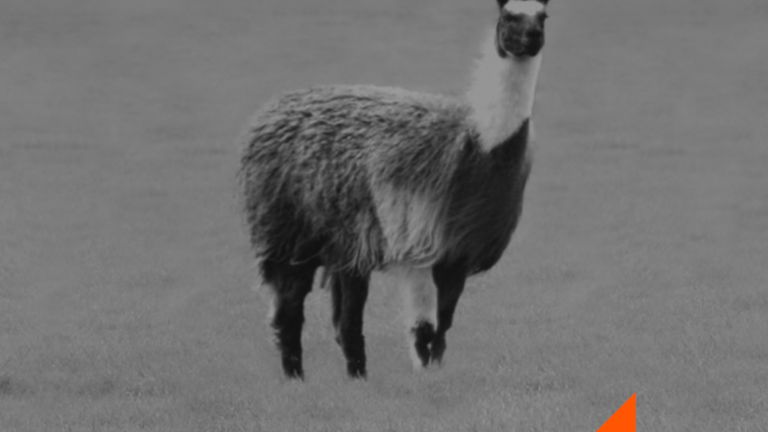 Winamp, el regreso del reproductor de música más recordado