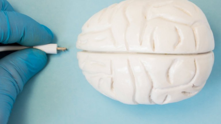 El control neuronal de tu ordenador podría llegar en 2019