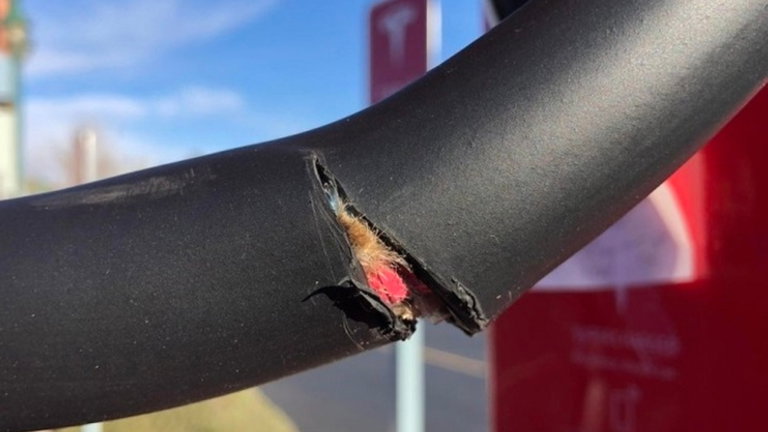 Por qué la red Supercharger es uno de los objetivos vandálicos clave del público