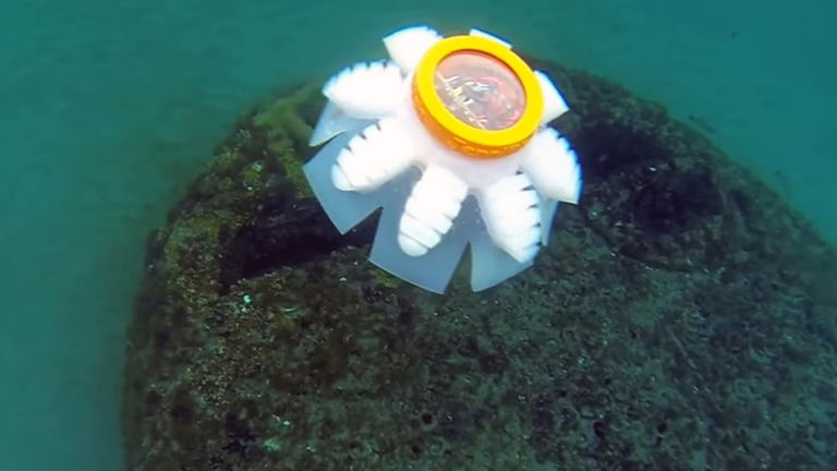 Medusas robóticas, así se pretende acabar con la contaminación en los océanos
