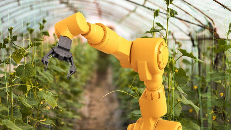 Los robots granjeros ya son una realidad, así funciona esta nueva tecnología