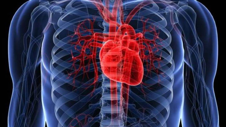 El último sistema de reconocimiento te detecta por los latidos del corazón