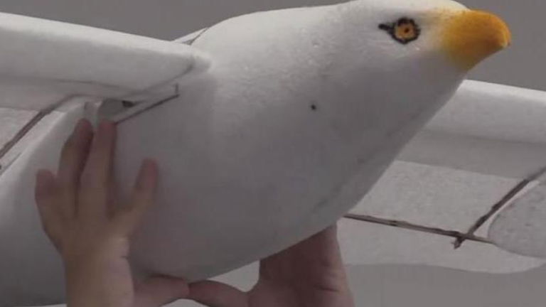 China crea un dron con forma de gaviota capaz de volar 3 meses seguidos