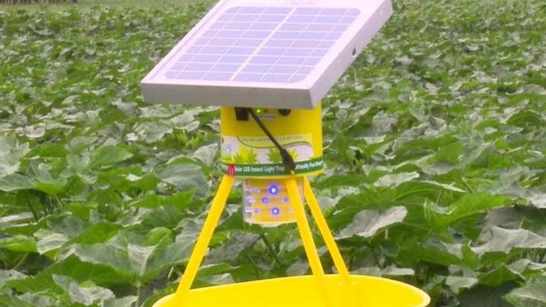 Combatir las plagas en el futuro dependerá de esta innovación