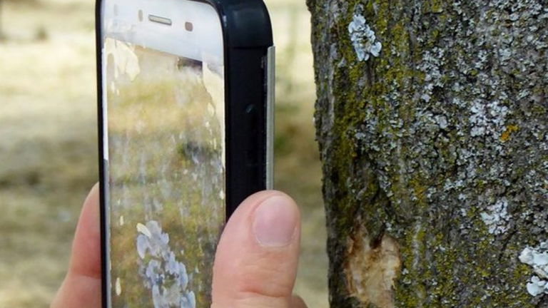El verdadero problema que causa nuestro teléfono móvil al medioambiente