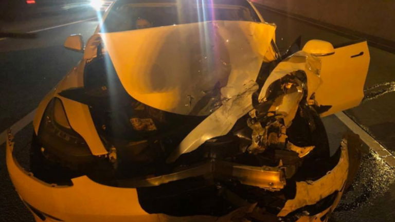 Un perro, un Tesla y la conducción autónoma temeraria