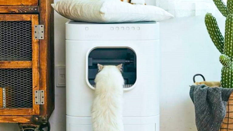 LavvieBot S o la digitalización de los gatos en el hogar