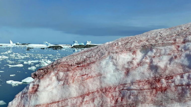 Qué es el hielo rojo que ha aparecido en la Antártida