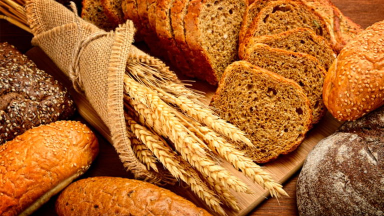 La bacteria que neutraliza la toxicidad del gluten para celíacos
