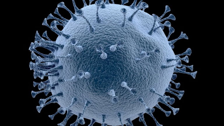 Supercomputadoras contra el coronavirus y Google que no se fía