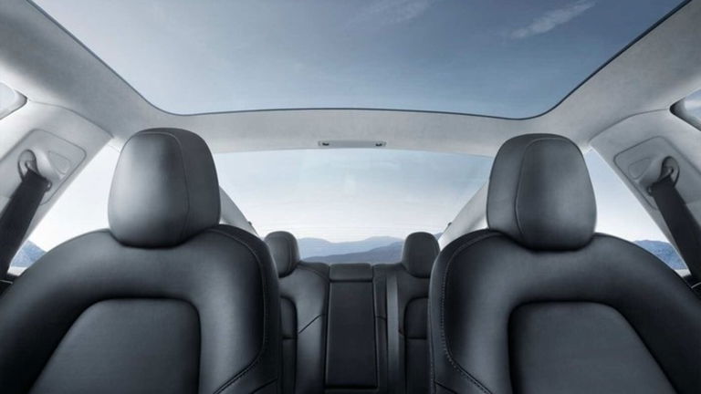 Tesla revela por qué hay una cámara para grabar qué ocurre en el interior de sus coches