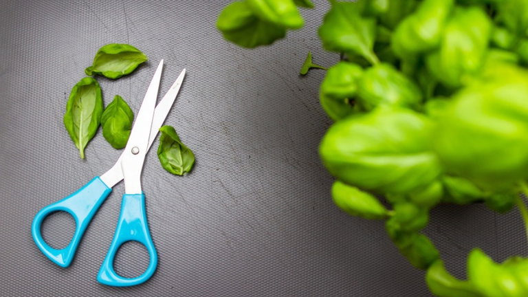 Las mejores tijeras de cocina