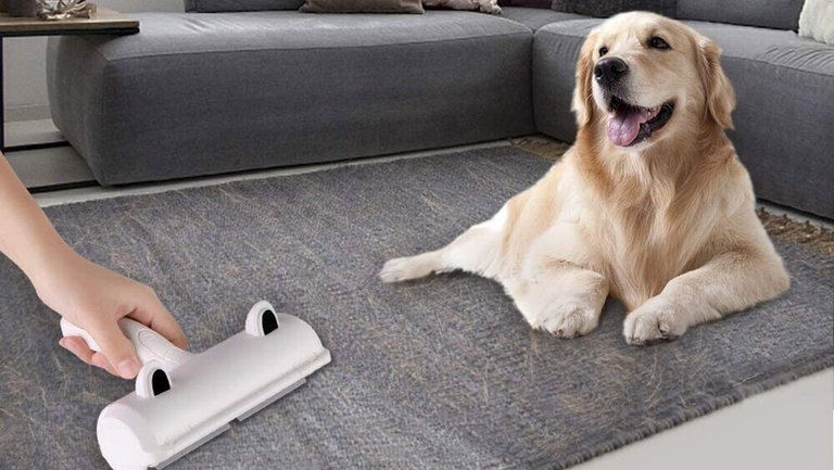 Quitapelos de mascotas, cómo saber si estamos eligiendo el más adecuado