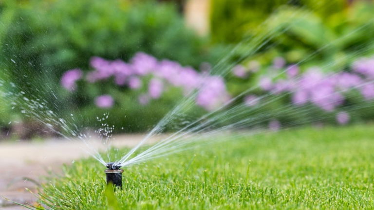 Los mejores programadores de riego para ahorrar agua y cuidar del jardín