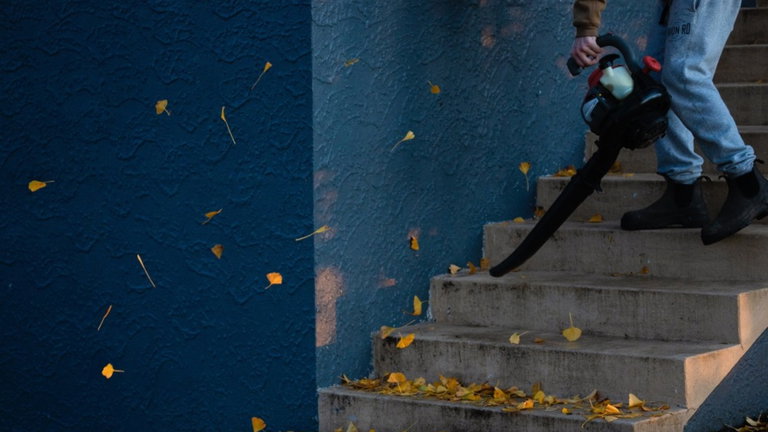 Los mejores sopladores de hojas con los que poner orden en tu jardín