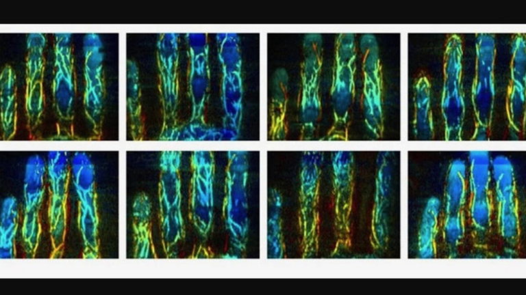 El nuevo sistema biométrico más seguro que la huella dactilar ya está en camino