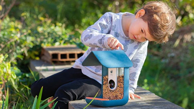 Bird Buddy es el dispositivo ideal para los amantes de los pájaros