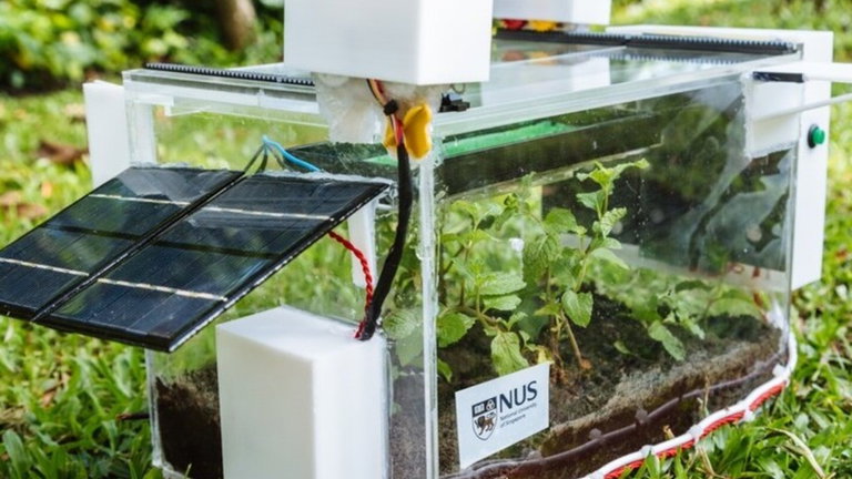 SmartFarm, la solución de cultivo autónomo para el crecimiento de las plantas