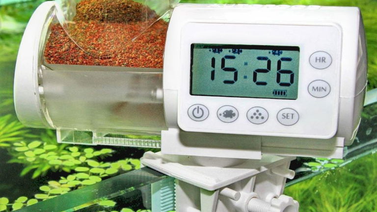 Con estos comederos automáticos para acuarios tus peces no pasarán hambre