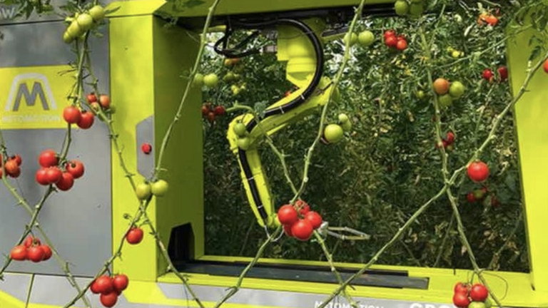GRoW, un robot capaz de cultivar tomates de forma autónoma en un huerto