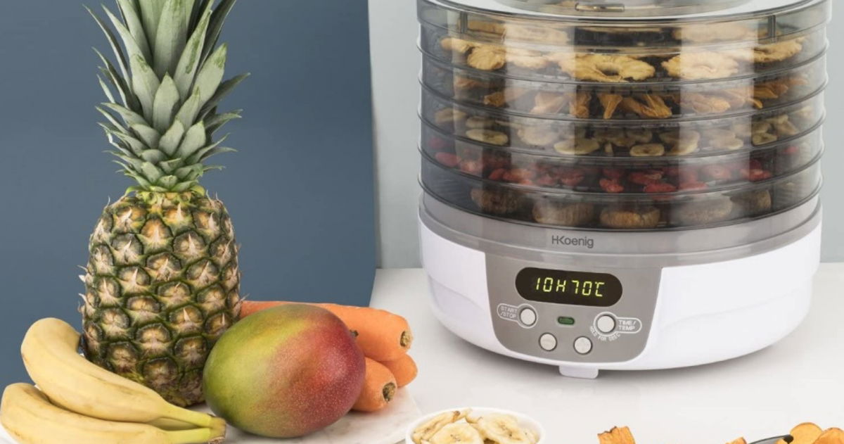 Meet The Best Food Dehydrators On The Market Bullfrag