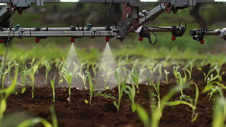 Crean un robot para echar herbicida en plantaciones de forma autónoma y selectiva