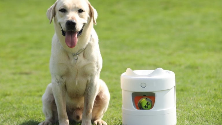 GoFetchr es el juego para perros más tecnológico que encontrarás