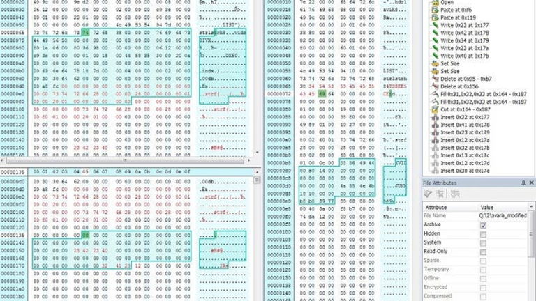 Cómo obtener el código fuente desde datos en hexadecimal